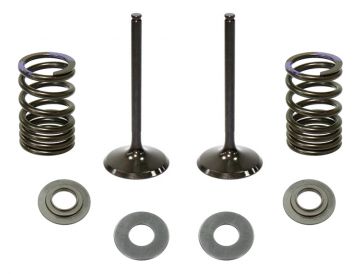 Outlaw Racing Exhaust Valve Kit